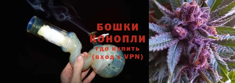 Канабис Bruce Banner  Аркадак 